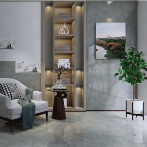 Gạch Viglacera SH-GP4808