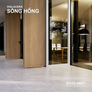 Gạch lát nền Viglacera SH20-6601
