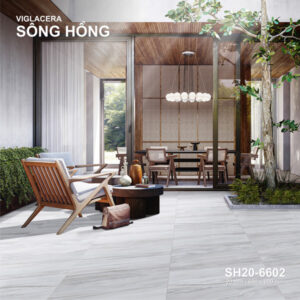 Gạch Viglacera SH20-6602