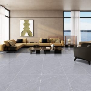 Gạch Taicera GP68237