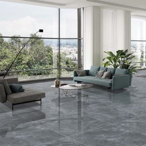 Gạch Taicera GP88259