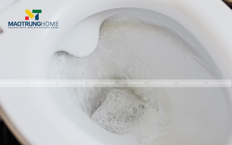 Viglacera thường sử dụng hệ thống xả Siphon