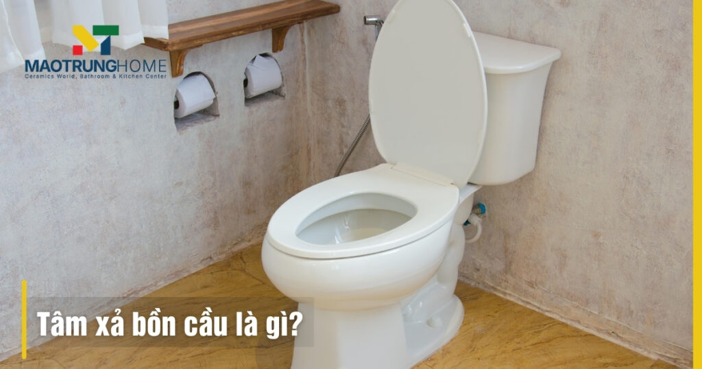 Tâm xả bồn cầu là gì