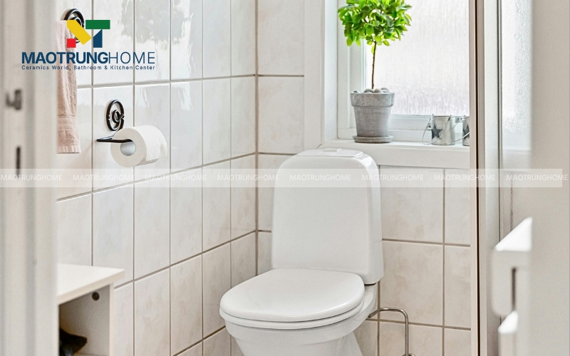 Hình ảnh một chậu cây nhỏ đặt trên kệ hoặc bệ cửa sổ trong nhà vệ sinh