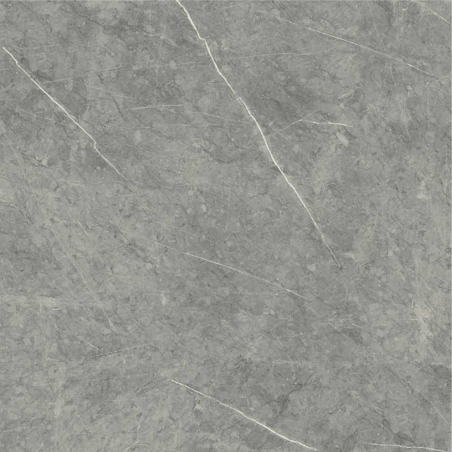 VGRES - COLOR BODY PLANET VG8982 DÒNG: 80 X 80 COLOR BODY PLANET - Ảnh 2