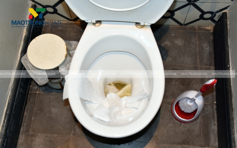 Lượng chất thải rắn trong bể phốt vượt quá sức chứa