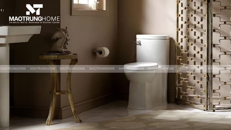 Bạn nên xem xét nhu cầu sử dụng trước khi mua bồn cầu