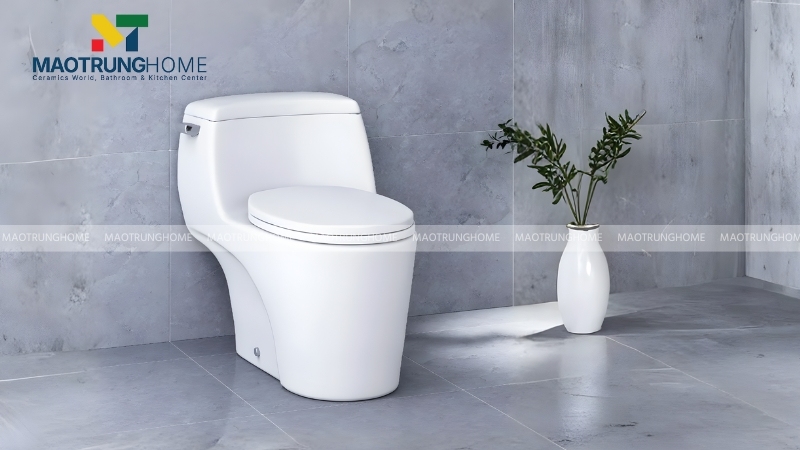 Mẫu Bồn cầu 1 khối Caesar C1353