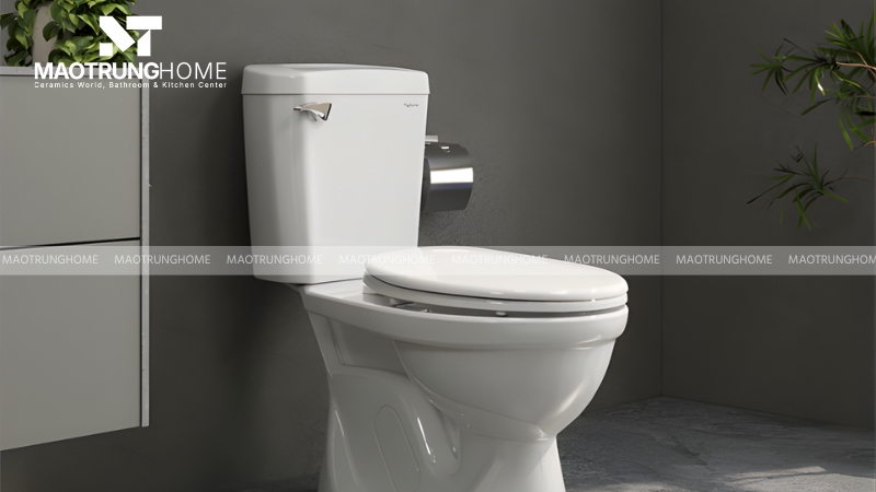 Mẫu Bồn cầu 2 khối Viglacera VI77