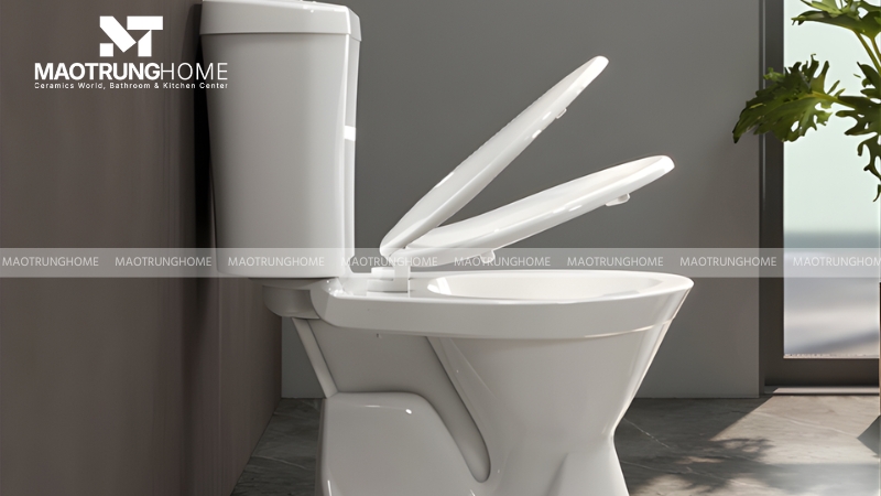 Mẫu Bồn cầu 2 khối Viglacera VI66