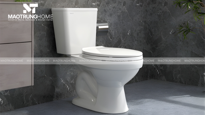 Mẫu bồn cầu cho nhà thuê hoặc nhà trọ