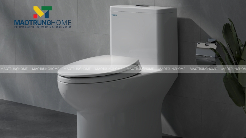 Bồn cầu Viglacera 1 khối