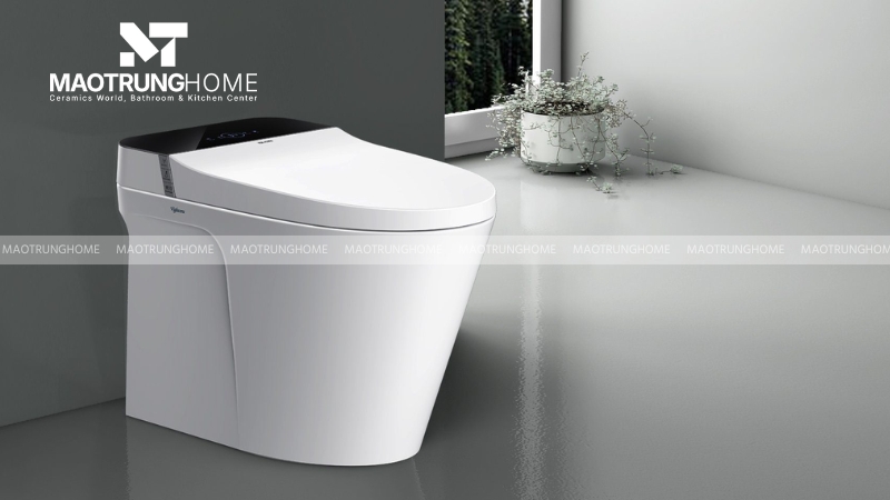 Cân nhắc nâng cấp lên các dòng bồn cầu Viglacera thế hệ mới