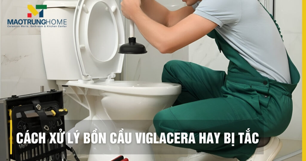 Bồn cầu Viglacera bị tắc: 7 nguyên nhân, 5 cách xử lý tại nhà