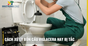 Bồn cầu Viglacera bị tắc: 7 nguyên nhân, 5 cách xử lý tại nhà