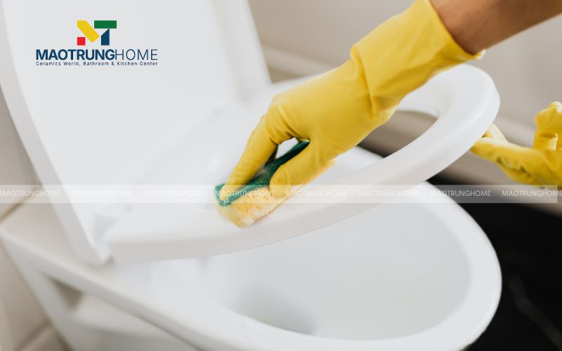 Vệ sinh bên ngoài thân bồn cầu, nắp và bệ ngồi