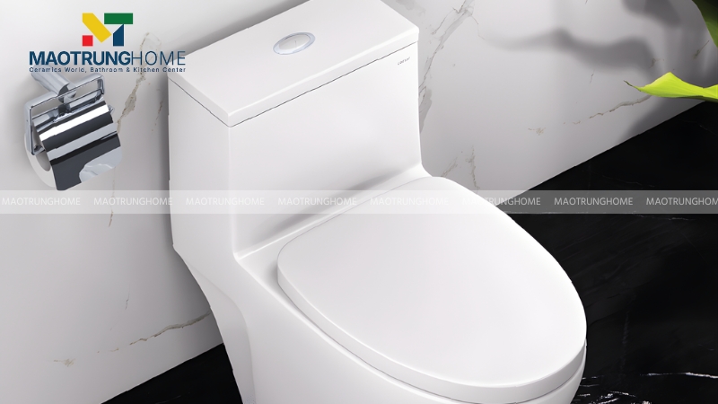 Mẫu bồn cầu Caesar CD1356