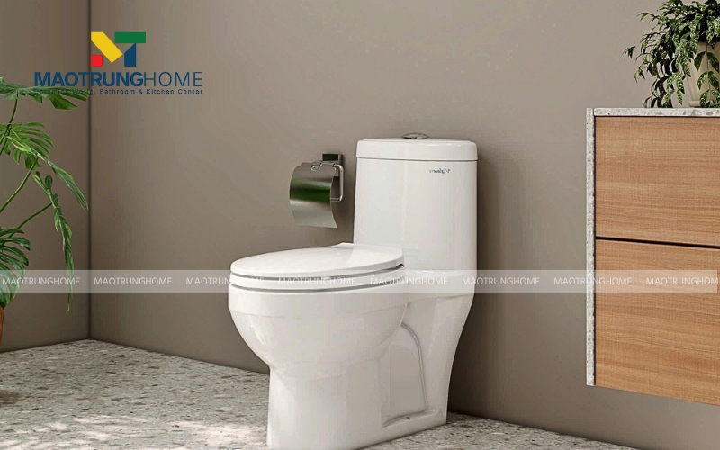 Bồn cầu trẻ em Viglacera BTE