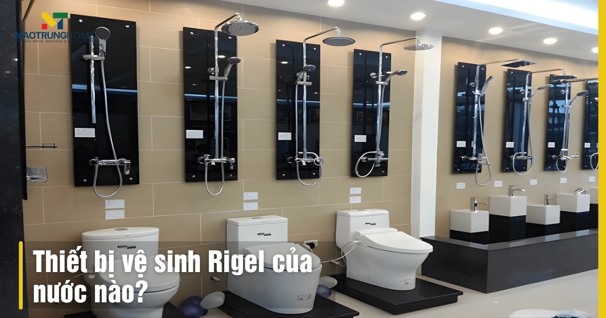 Thiết bị vệ sinh Rigel của nước nào: Singapore và chất lượng vượt trội