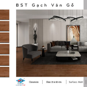 Gạch Lát nền, ốp tường Ý Mỹ 15x60 C156004R