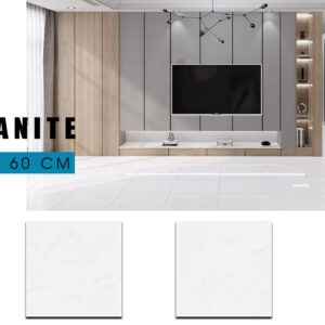 Gạch Lát nền Ý Mỹ 60x60 EN69009R