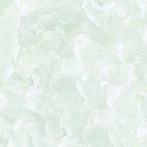 Gạch Lát nền Ý Mỹ 80x80 EN89004