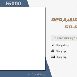 Gạch Lát nền Ý Mỹ 50x50 F5000