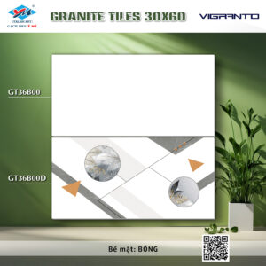 Gạch Ốp tường Ý Mỹ 30x60 GT36B00D