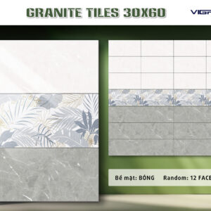 Gạch Ốp tường Ý Mỹ 30x60 GT36B02D