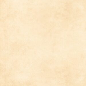 Gạch Lát nền Ý Mỹ 80x80 P85002