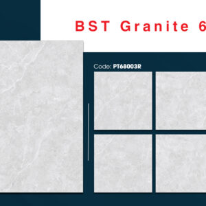 Gạch Lát nền Ý Mỹ 60x60 PT68003R