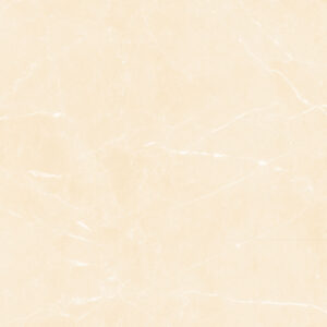 Gạch Lát nền Ý Mỹ 60x60 Y6101RM