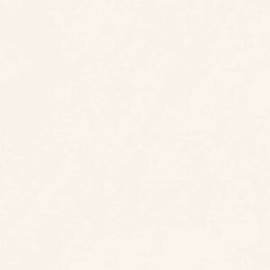 Gạch ốp lát Polished Viglacera 80x160 V4-M81604